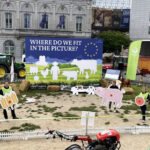 Paso definitivo de la Ley de la Restauración de la Naturaleza con el voto a favor del Gobierno de España