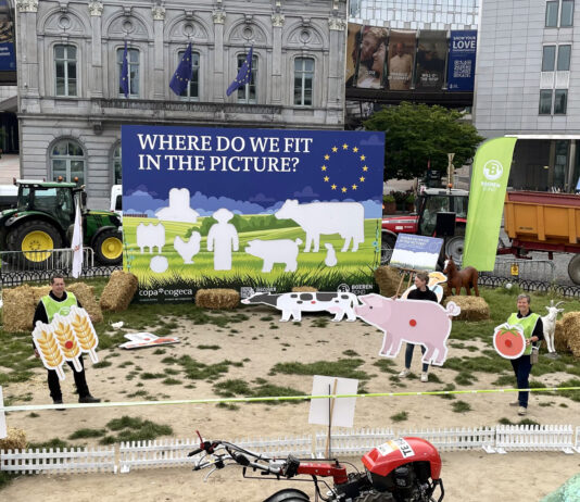 Paso definitivo de la Ley de la Restauración de la Naturaleza con el voto a favor del Gobierno de España