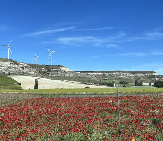 El grupo ADRI Cerrato convoca ayudas por importe total cercano a los 1,16 millones de euros