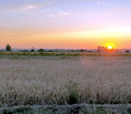 La nueva alerta de incendios hasta el viernes 26 no varía las normas de precaución en maquinaria agrícola