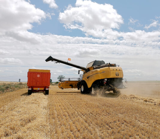 Compás de espera en la mesa del cereal de la Lonja de León apenas sin contratos aún de la nueva cosecha