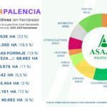 Desglose-PAC2024-por-cultivos