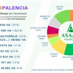 Desglose-PAC2024-por-cultivos-2