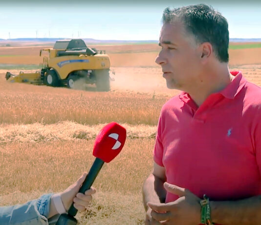 Campo Palentino | (4/JULIO/2024)