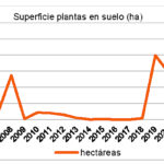 Superficie-ano-plantas-solares-c-MAPA