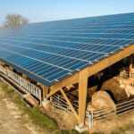 agrovoltaica-energia-solar-