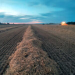 La paja ya cotiza en la Lonja de León: a 40 euros la tonelada, un tercio del precio de la pasada campaña