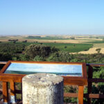 Desde el 1 de septiembre ya pueden recogerse los cultivos no cosechados en espacios de biodiversidad