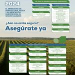 Plan-2024-plazos-seguro