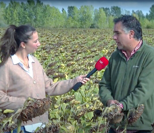 Campo Palentino | 19/SEPTIEMBRE/2024