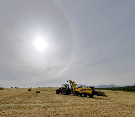 Agosto fue en Palencia más cálido de lo normal para este mes, como en casi toda la España peninsular