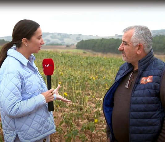 Campo Palentino | (26/SEPTIEMBRE/2024)