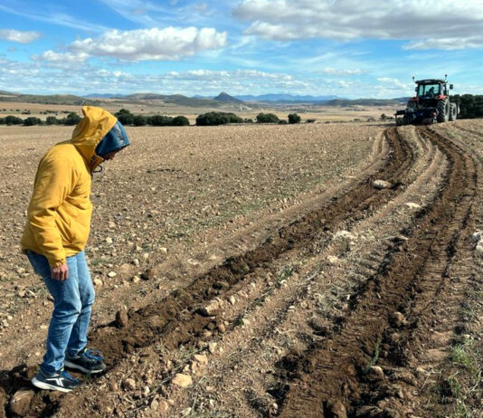 El 80 % de 8,85 millones de euros en nuevos derechos de la Reserva Nacional, para jóvenes agricultores