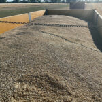 Octubre se salda con un ligero repunte de la cebada y la estabilidad en los precios de los demás cereales