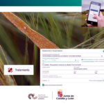 La plataforma Sativum del ITACyL incorpora una función para optimizar el uso de los fitosanitarios