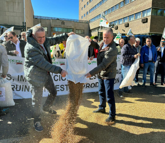El 17-F, concentración en Babilafuente (Salamanca) contra los actuales «precios de derribo» en el cereal