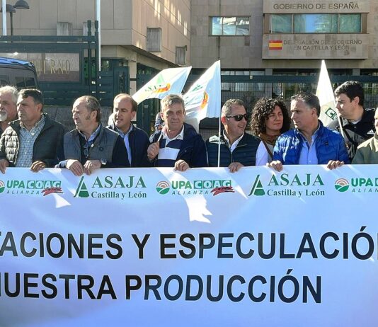 ASAJA-Palencia acude a la concentración del sector agrario regional en defensa de nuestros cereales