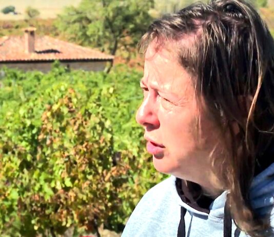 Campo Palentino | 3/OCTUBRE/2024