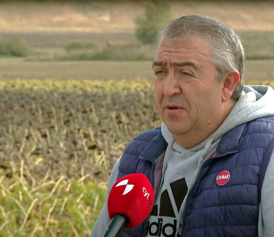 Campo Palentino | 17/OCTUBRE/2024