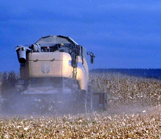Suben los forrajes, mientras bajan trigo y cebada en la Lonja de León, donde vuelve a cotizar el maíz