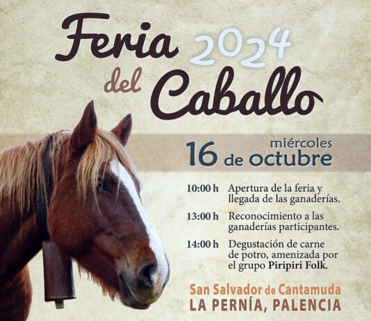 La Pernía celebra este miércoles 16 en San Salvador de Cantamuda su tradicional Feria del Caballo