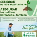 Sembrar y asegurar web