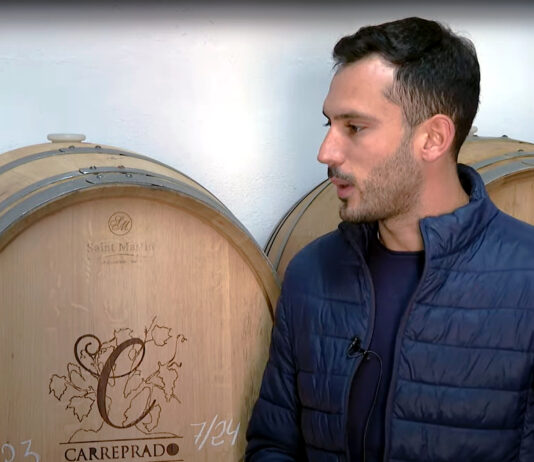 Campo Palentino | 31/OCTUBRE/2024