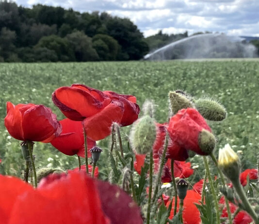 La Confederación del Duero publica el canon de regulación y las tarifas del regadío para 2025