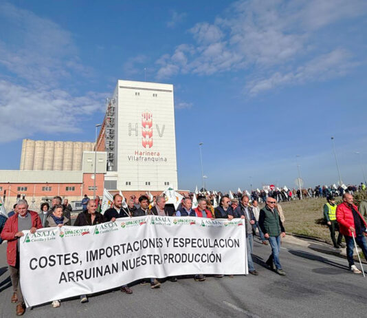 ASAJA-Palencia se moviliza en Arévalo en defensa de unos precios rentables para nuestros cereales