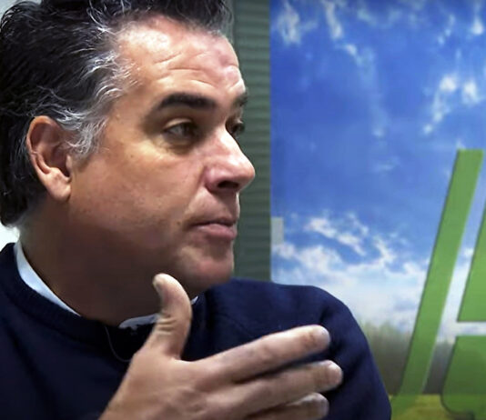 Campo Palentino | 28/NOVIEMBRE/2024