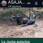Suscríbete al canal de WhatsApp de ASAJA-Palencia para recibir su información de modo inmediato