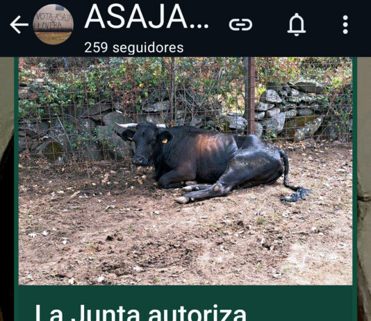 Suscríbete al canal de WhatsApp de ASAJA-Palencia para recibir su información de modo inmediato