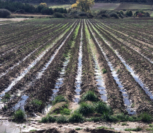 El pasado octubre se comportó como un mes mucho más húmedo y algo más cálido de lo normal