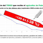 Precio-del-TRIGO-que-recibe-el-agricultor-de-Palencia-web