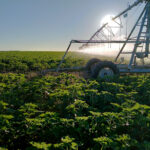 ‘Crónica del regadío’, interesante jornada que se celebra este miércoles 6 en Carrión de los Condes