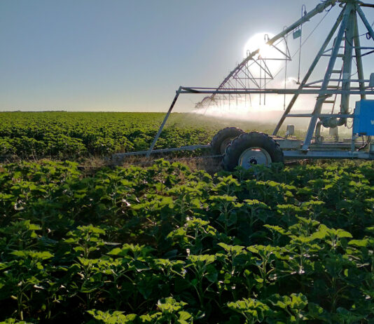 ‘Crónica del regadío’, interesante jornada que se celebra este miércoles 6 en Carrión de los Condes