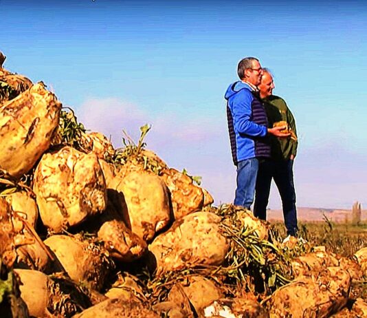 Campo Palentino | 21/NOVIEMBRE/2024