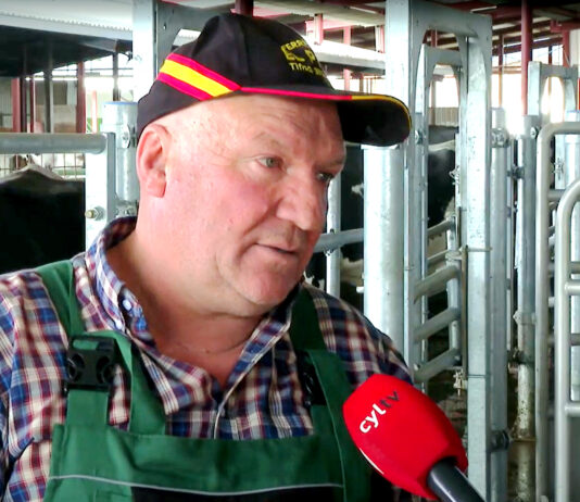 Campo Palentino | 7/NOVIEMBRE/2024