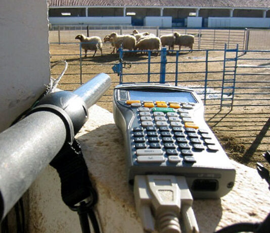 El Ministerio flexibiliza la norma sobre identificación de animales y sobre el veterinario de explotación