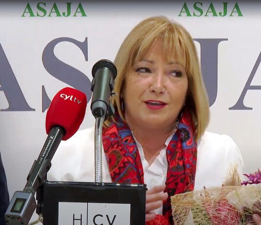 Campo Palentino | 12/Diciembre/2024