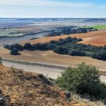 Siete razones por las que ASAJA pide al Parlamento Europeo el rechazo a la Ley de Vigilancia del Suelo