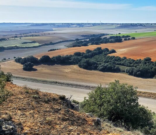 Siete razones por las que ASAJA pide al Parlamento Europeo el rechazo a la Ley de Vigilancia del Suelo