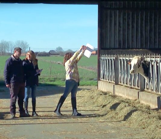 CAMPO PALENTINO | (16/ENERO/2025)