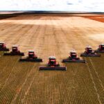 El sector agroganadero de la Unión Europea será menos competitivo en 2025