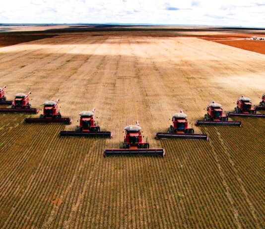 El sector agroganadero de la Unión Europea será menos competitivo en 2025