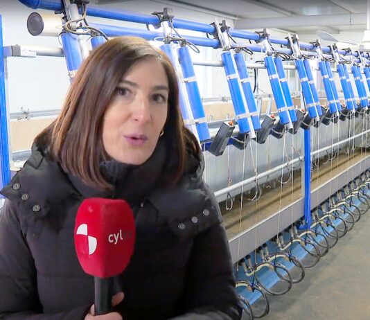 CAMPO PALENTINO | 9/ENERO/2025