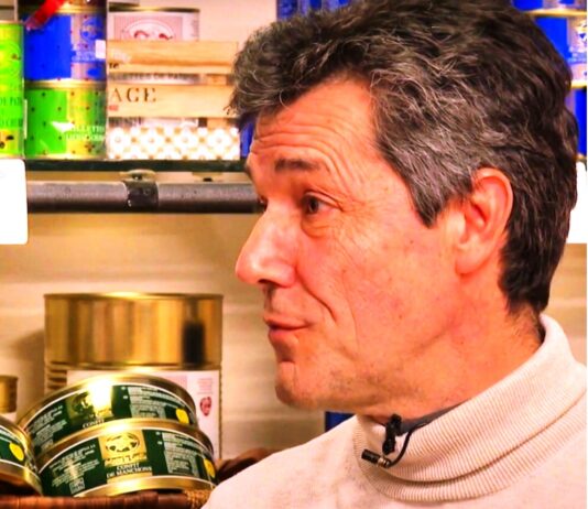 Campo Palentino | (23/ENERO/2025)