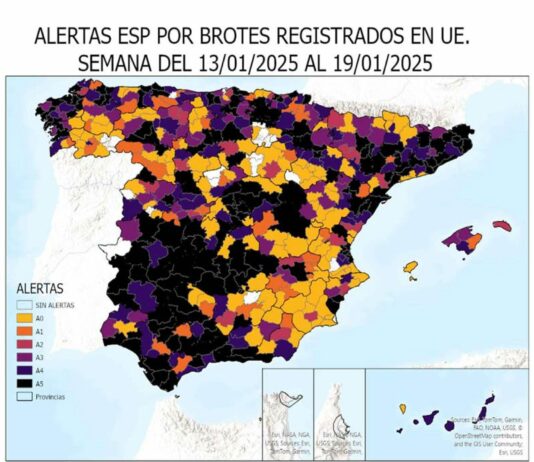 El Ministerio de Agricultura declara riesgo alto de gripe aviar y activa prohibiciones preventivas