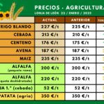 Precios-agricultura-22ene2025