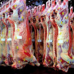 La demanda prenavideña tira de la cotización del bovino, que sigue desfasada con respecto al mercado